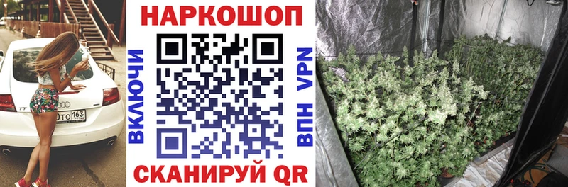 A-PVP Курганинск