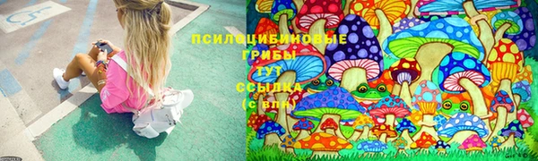 прущие крисы Ростов