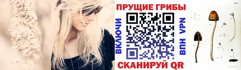 ссылка на мегу рабочий сайт Курганинск Псилоцибиновые грибы мухоморы